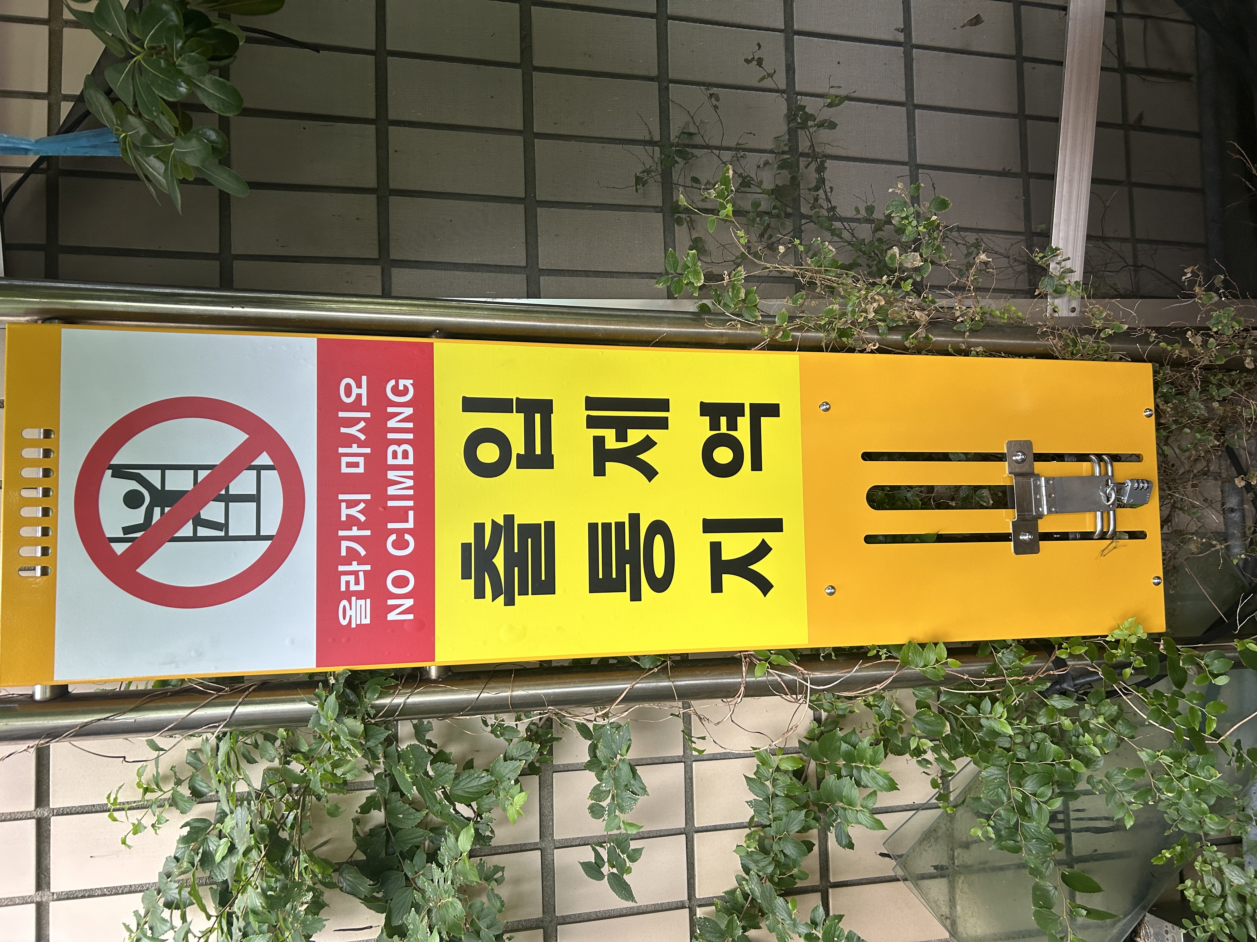 제품 사진